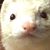 Megan Anderson's profile image