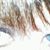 Gayle Szabo's profile image