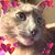 Michelle Spradley's profile image