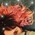 Libby Talaber's profile image