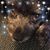 Tani Rob Briley's profile image