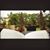 Anum Khan's profile image