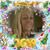 Kendelyn Miller Morgan's profile image