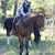 Liz Baty's profile image