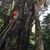 Xinia Fernandez Aguilar's profile image