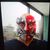 David J Brandenburg's profile image
