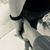 Renae Whitten's profile image