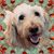 Jackie Liggio-Schulz's profile image