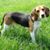 Maggie Dee's profile image