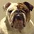 Janette Davis's profile image