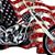 Steve Shipman's profile image