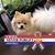 James Tallaksen's profile image