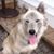 Diane Jewell Huff's profile image