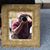Rick Miller's profile image