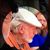 James Flattery's profile image