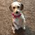 Teri C. Mergenthal's profile image