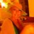 Christine Annalise's profile image