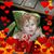 Jeremiah Charron's profile image