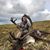 Alison Trubacz's profile image