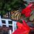 Patty Ryan Ogborn's profile image