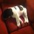 Nancie Breunig's profile image