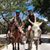 Kelly Kurtz Kuhlmann's profile image