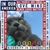 Jean Loew's profile image