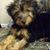 Julie Hepner Holdefer's profile image
