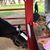 Molly Wilson's profile image