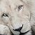 Santi C Santi's profile image