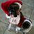 Colleen Sullivan Payne's profile image