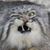 Deric Stowell's profile image