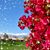 Vicki Jones Roberts's profile image