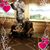 Stephanie Danielle Pressley's profile image