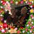 Linda Tackett Price-Hinkle's profile image