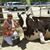 Patti Cowbrera's profile image