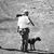 Anthony Bezenar's profile image