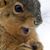 Ruth Ann Reavis Smith's profile image