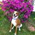 Holly Faria's profile image