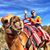 Barry C. Lawrence's profile image