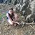 Silvia Wehner's profile image