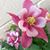 Julayne Miller Moser's profile image