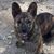 Cynthia Sattler's profile image
