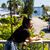 Lourdes M. Rivadeneyra's profile image