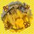 Melissa Hamm Barbacow's profile image