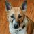 Tom McCain Owoc's profile image