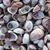 Julie Ann Bartolomeo's profile image
