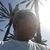 Frank E. Acosta's profile image