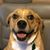 RRob Rohlfing's profile image