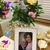 Susan Hutchison Smith's profile image